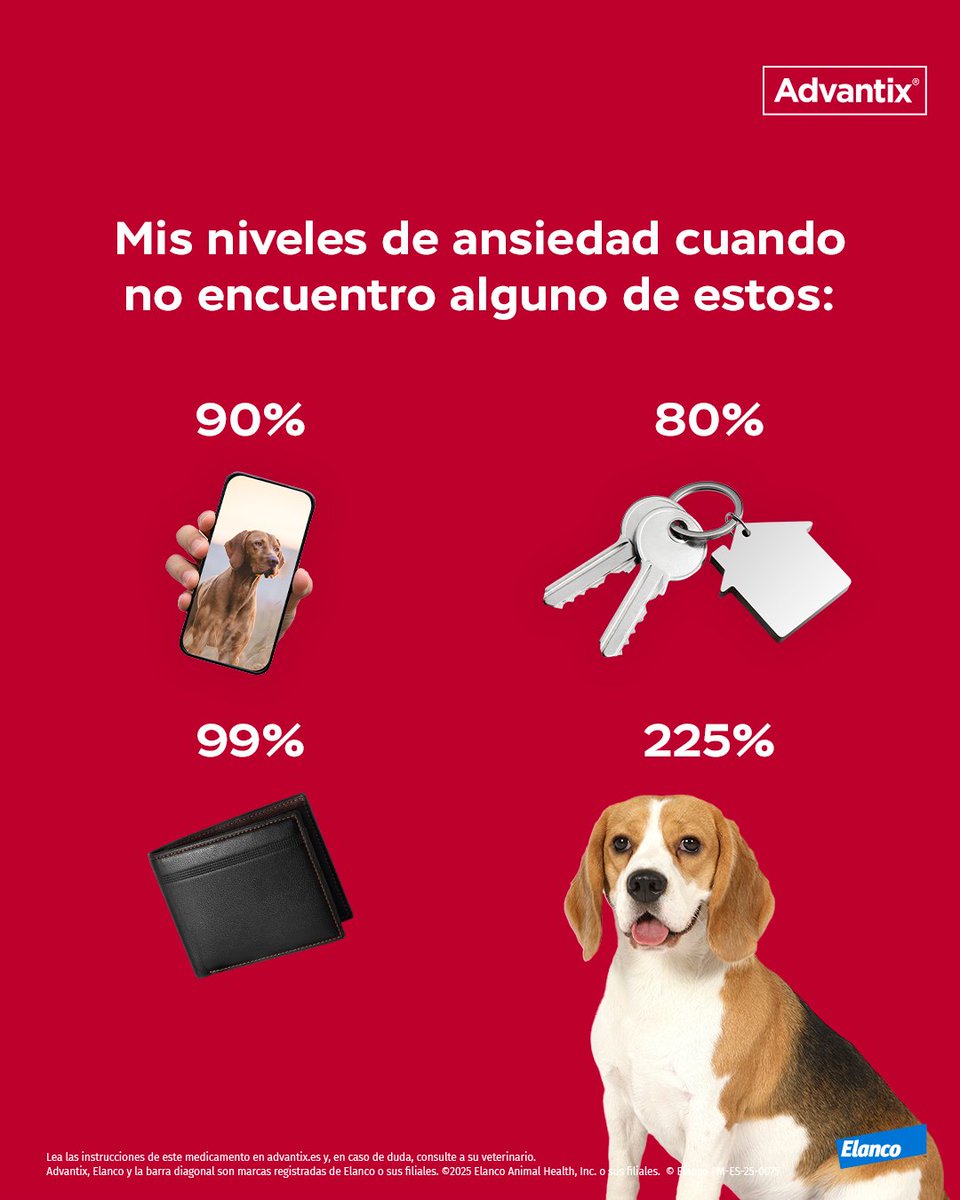 ¡Cuando tu peludo se esconde, la ansiedad se dispara al máximo! 😱

Dale ❤️ si a ti también te ha pasado.