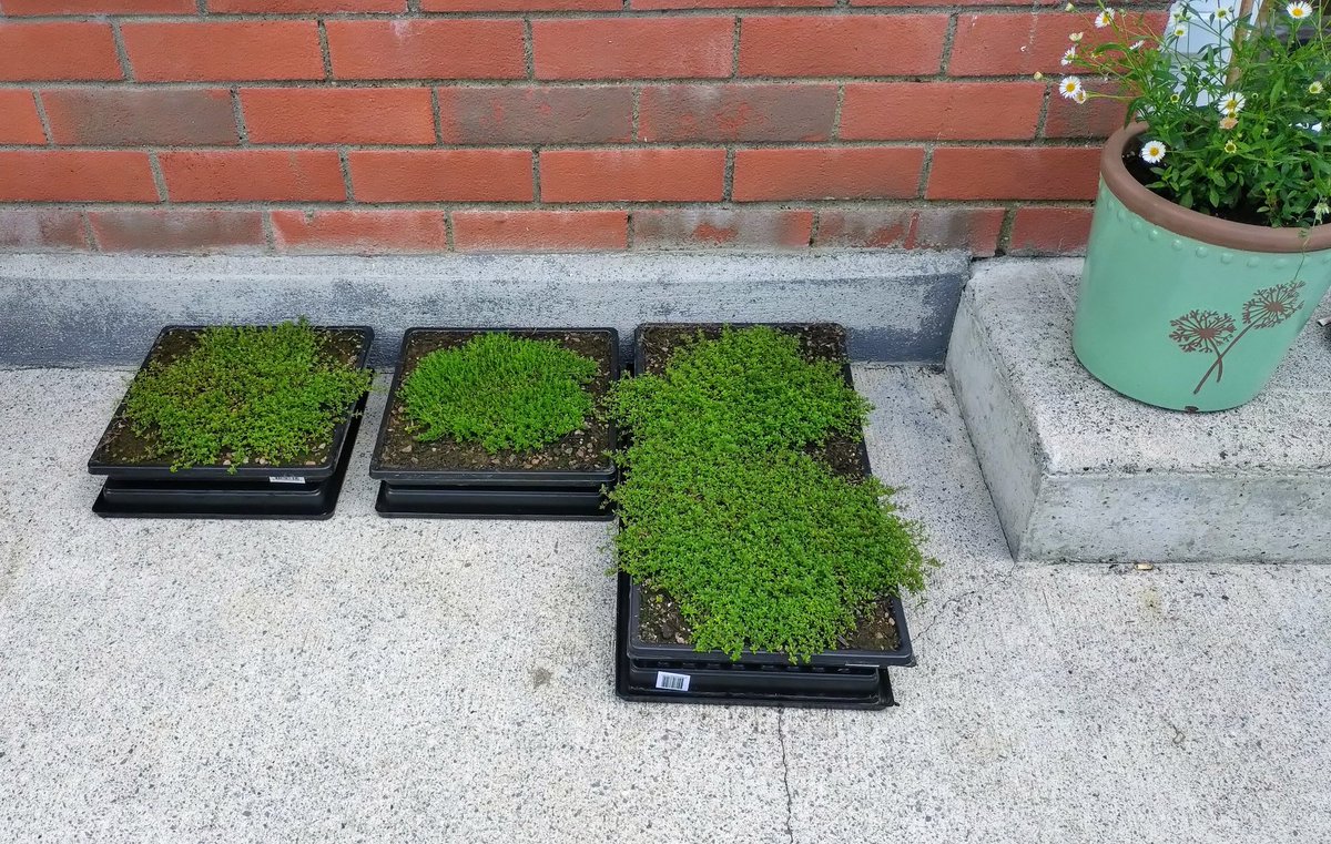 Paul Dalton tweet media