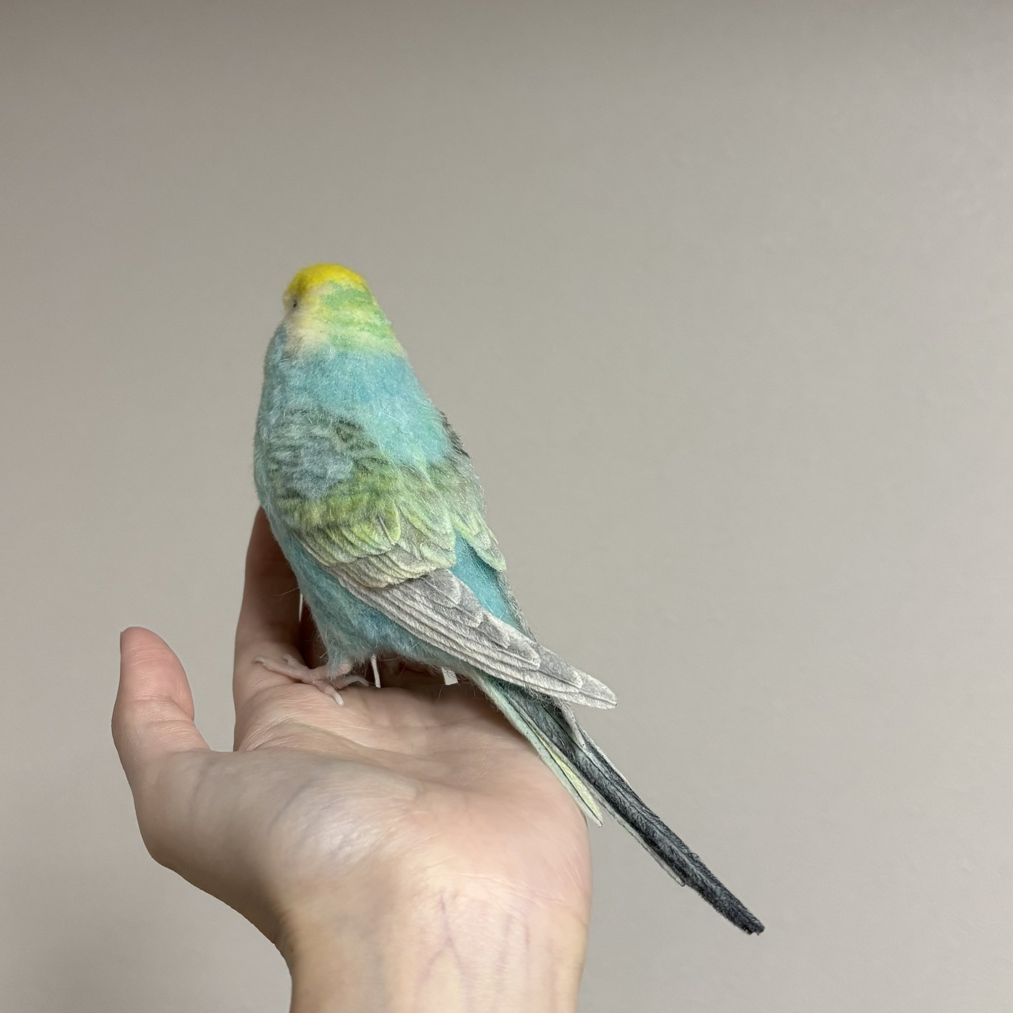 セキセイインコ（羊毛フェルト） N94 | miamiao