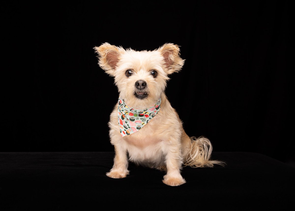 annaham.bsky.social tweet media