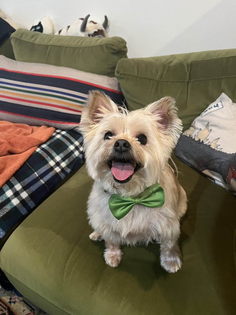 annaham.bsky.social tweet media