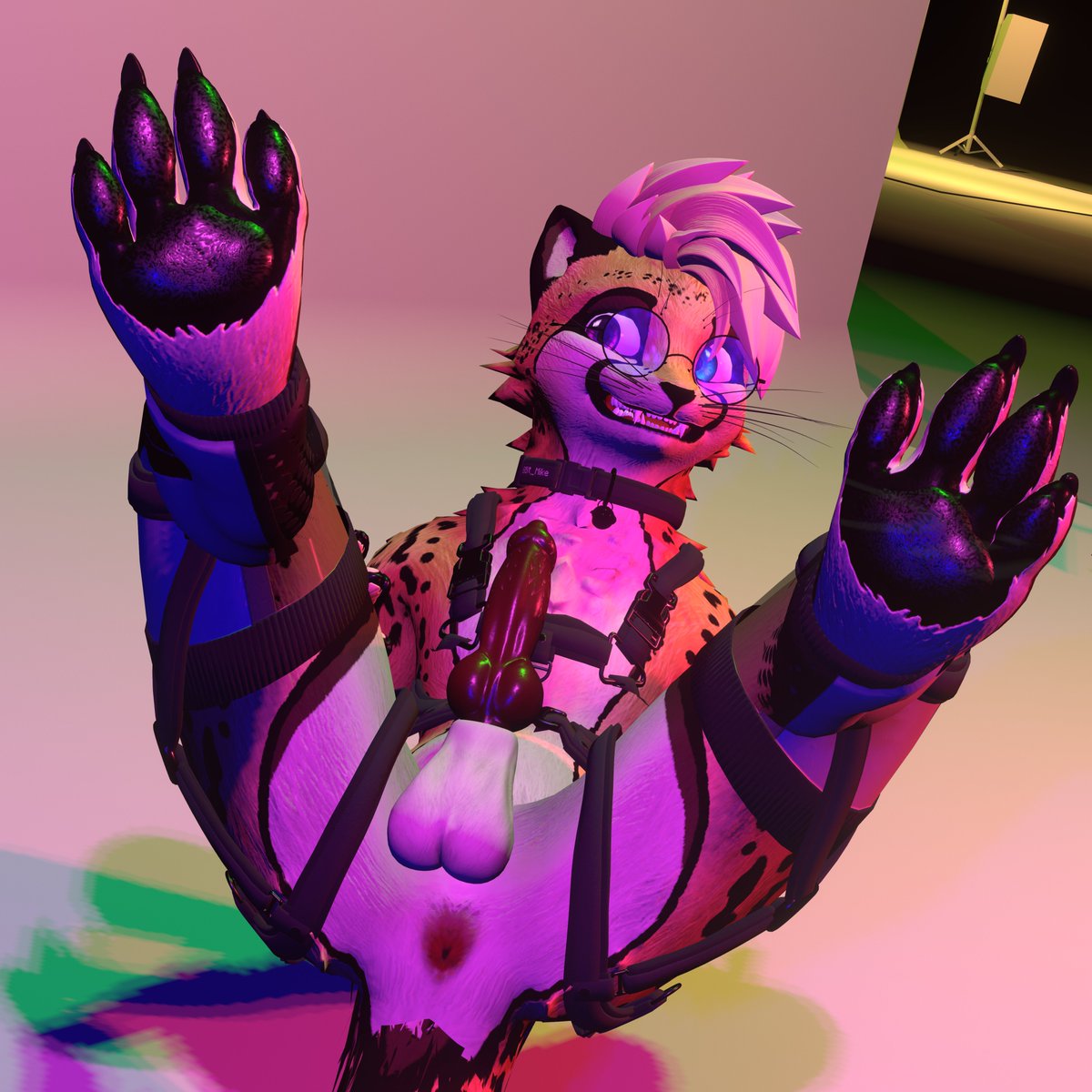 Say Beaaaannssss x3 🐾