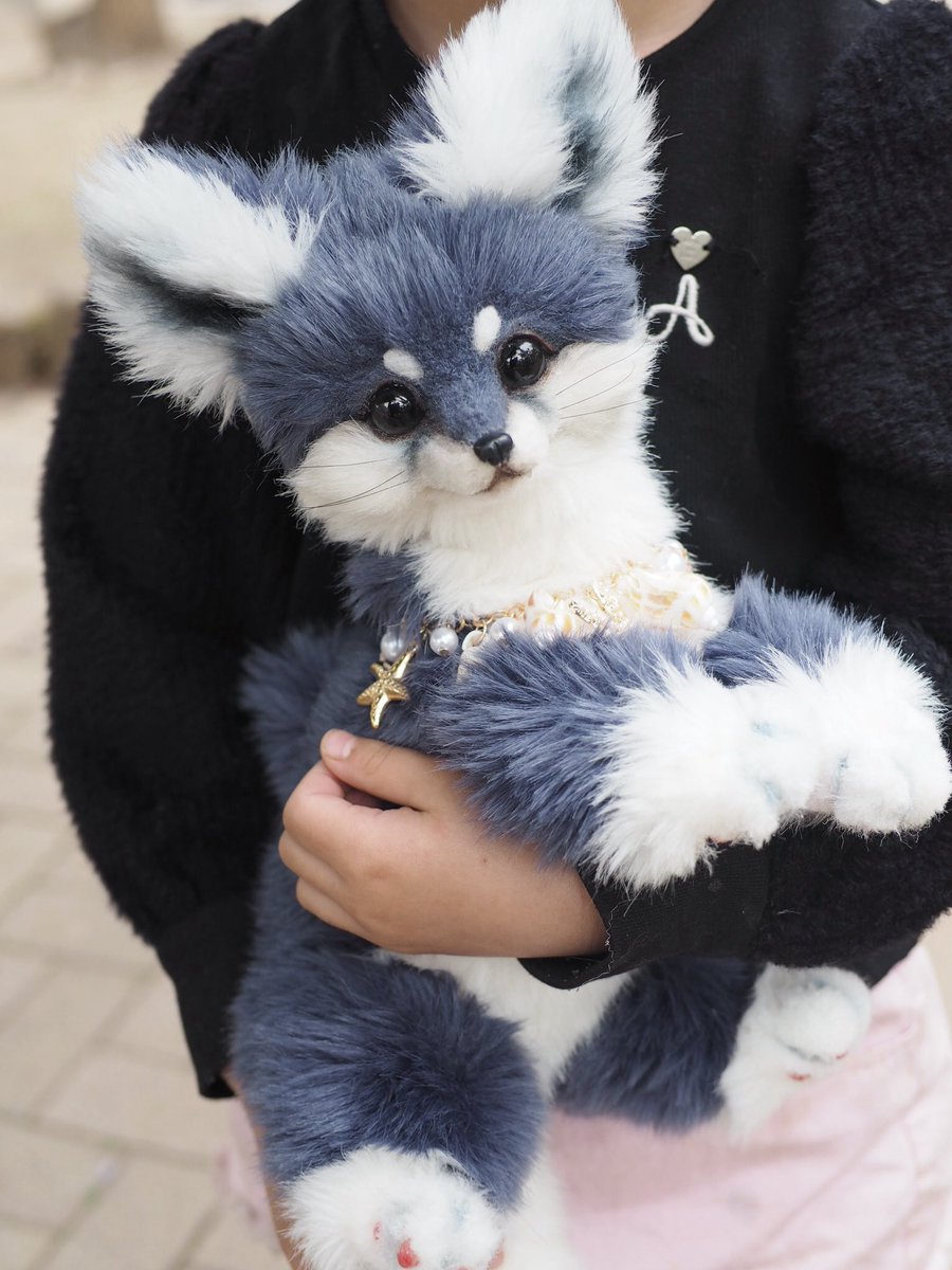 あにゃ@あにゃまるず (@macaronoxou) / Posts / X