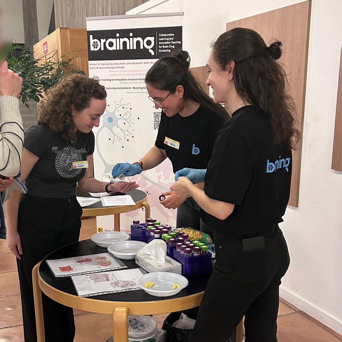Bringing Neuroscience to the Streets! 🧠 For #BrainAwarenessWeek, the Salamanca team of the #BrainingProject took "El Cerebro en la Calle" to the community! Through fun tests, people got to explore how taste &amp; smell shape our perception of the world✨ #cofundedbyEU