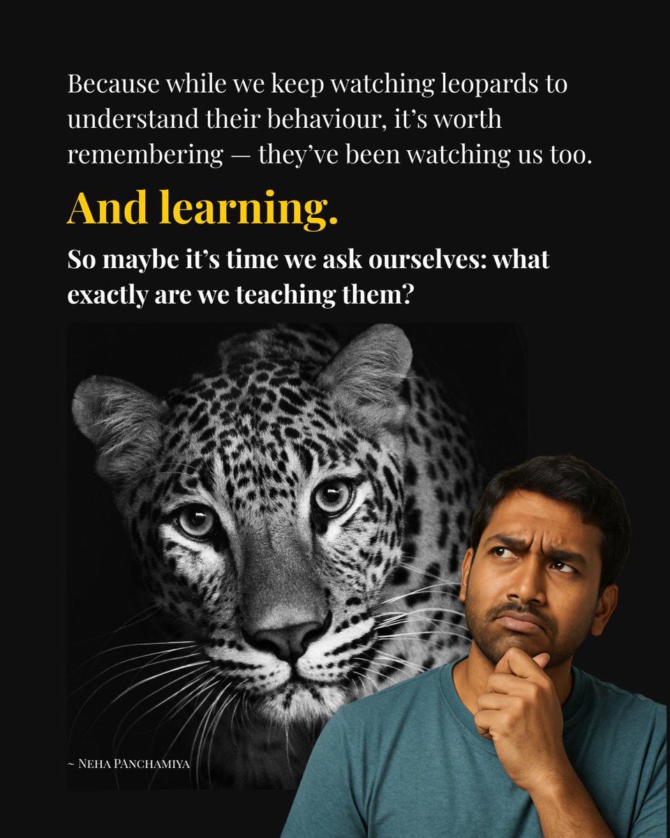 On International Leopard Day, I spent the day handling the guest of honour in real life. After working with hundreds of leopards, I can confirm: they never run out of surprises. This isn’t another piece on conflict or coexistence. It’s about what leopards do when they think no