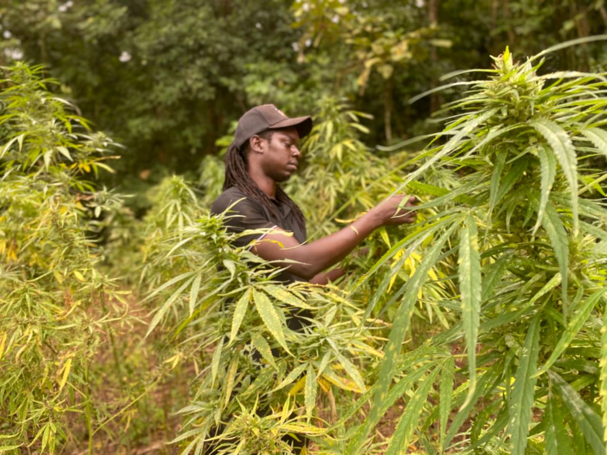 Always take time off and takecare of your garden..... 😊🙏🏾

Nature is Life