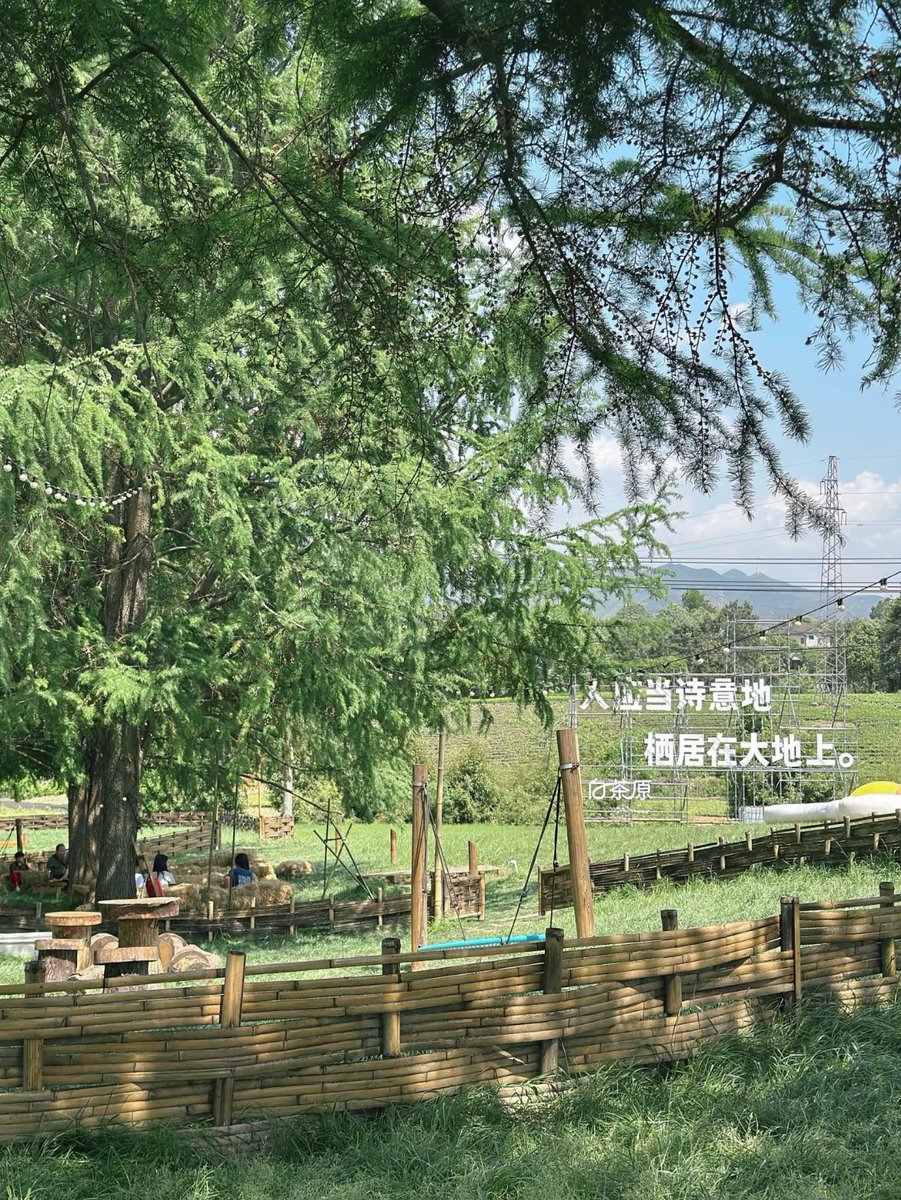 a_1023planet's tweet photo. “ 没事溜溜白日梦 ”
#ExploreAnjiInbound ⛅️ #LiveGreenInAnji https://t.co/36r423ZGwf