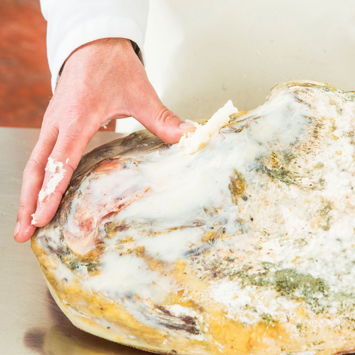 Si el jamón esta empezado, se recomienda guardarlo en algún lugar fresco, seco y alejado de la exposición directa a la luz solar. 

Si el jamón no está empezado se debe guardar en algún lugar fresco y seco, evitando estancias calurosas de la casa y con excesiva humedad.