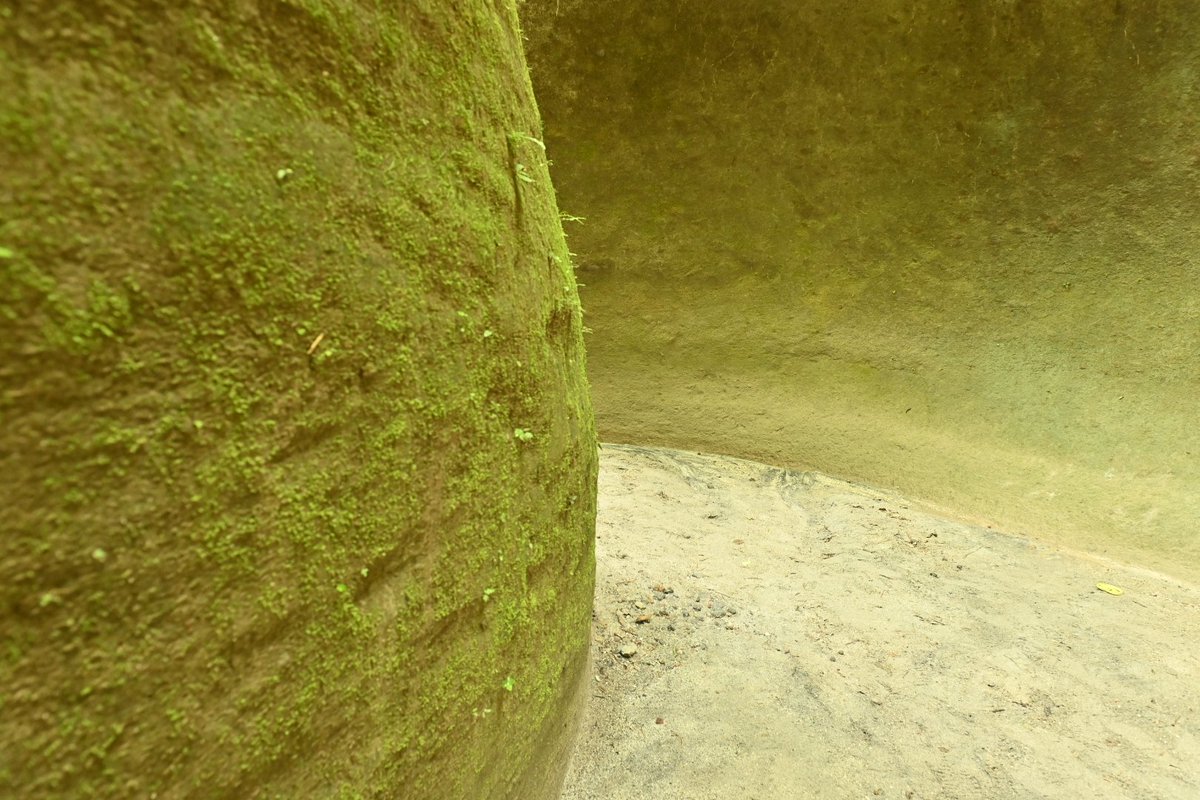 Mark Stratton (@markofdartmoor) on Twitter photo Tutulari Gorge, north of Manila, is an exquisite little lost world of tree ferns formed > 1991's Pinatubo's deadly eruption. It brings new wealth to Aete people through tourism after volcano destroyed their farmland. They call it a 'beautiful disaster' . #Philippe <a href="/BambooTravel/">Bamboo Travel</a> Tutulari Gorge, north of Manila, is an exquisite little lost world of tree ferns formed > 1991's Pinatubo's deadly eruption. It brings new wealth to Aete people through tourism after volcano destroyed their farmland. They call it a 'beautiful disaster' . #Philippe <a href="/BambooTravel/">Bamboo Travel</a>