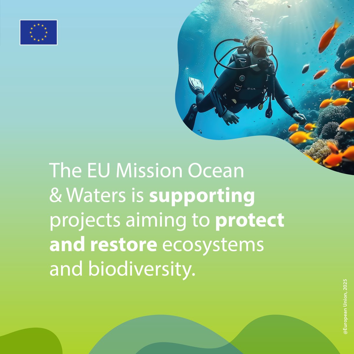 Today is the international #BiodiversityDay! 🌎

#MissionOcean &amp; Waters projects work to protect and restore biodiversity across European waters, aiming to protect at least 30% and strictly protect at least 10% of the EU's sea area by 2030.

Learn more 👉 tinyurl.com/mtv43cad