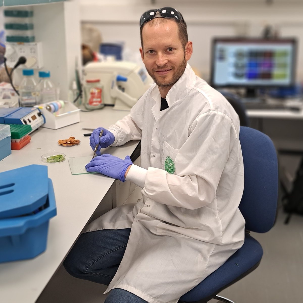 Volcani Institute (@volcaninstitute) on Twitter photo Dr. <a href="/tamarshemer/">tamarshemer</a>'s student Ori Eisenbach is one of our three outstanding lecturers! 👏Identification of physiological factors and genetic linkage of the Stem Photosynthesis Capability (SPC) trait in the wild almond species Prunus Arabic 👇linkedin.com/pulse/identifi… Dr. <a href="/tamarshemer/">tamarshemer</a>'s student Ori Eisenbach is one of our three outstanding lecturers! 👏Identification of physiological factors and genetic linkage of the Stem Photosynthesis Capability (SPC) trait in the wild almond species Prunus Arabic 👇linkedin.com/pulse/identifi…