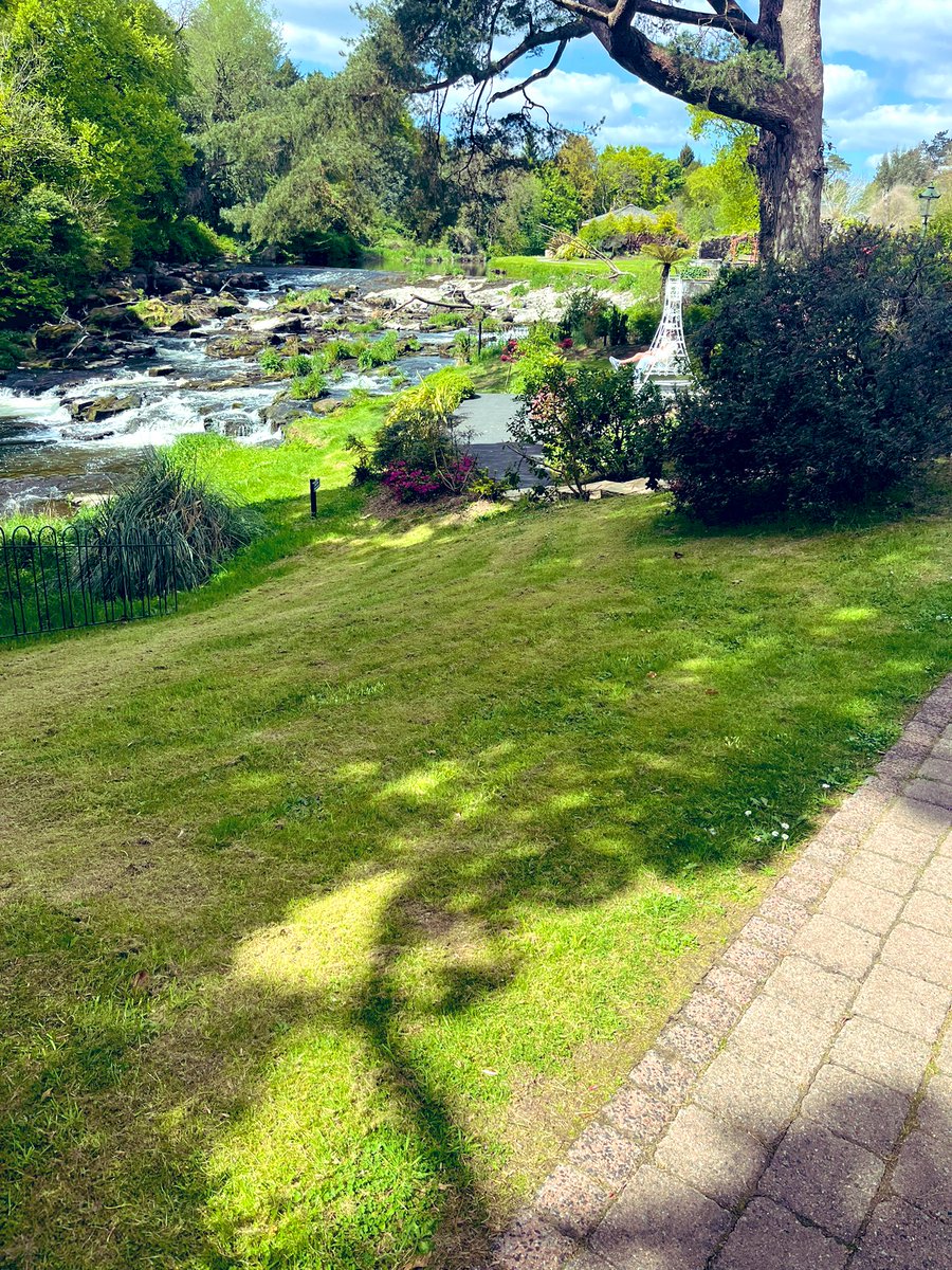 John Hand tweet media