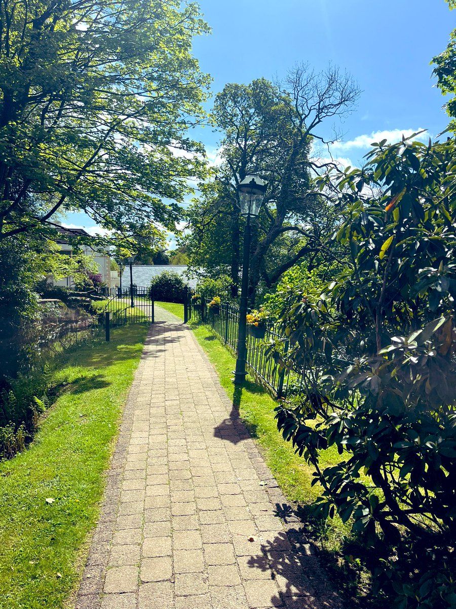 John Hand tweet media