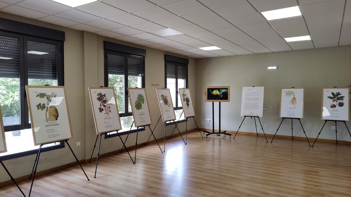 La exposición "Edición Limitada" del Banco de Tierras desembarca en Cabañas Raras. Conoce los productos del Bierzo como lo que son: Obras de Arte. Casa de la Cultura de Cabañas Raras, No os la perdáis. 
Gracias al Ayuntamiento de Cabañas Raras por acoger esta exposición