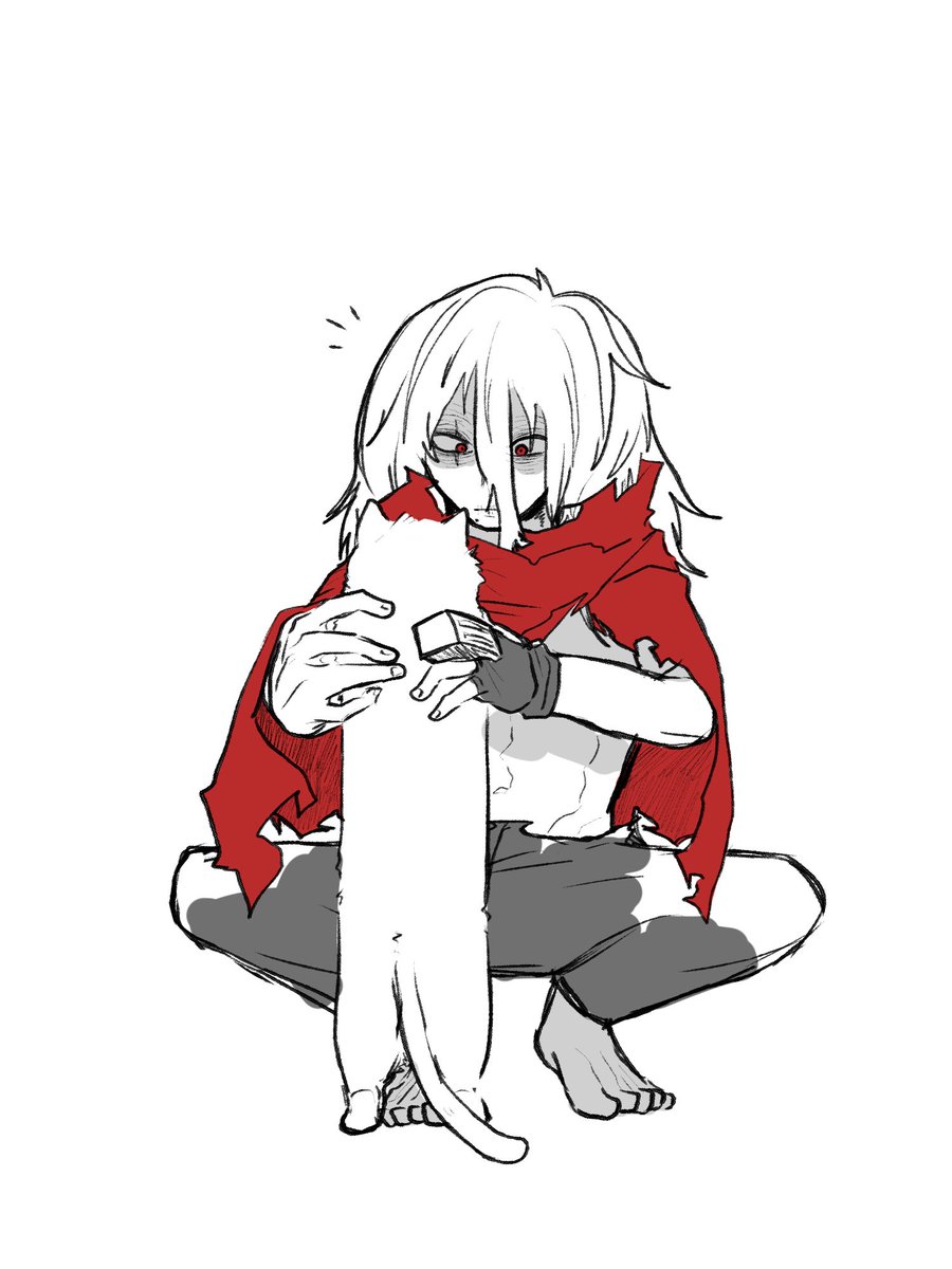 弔と猫