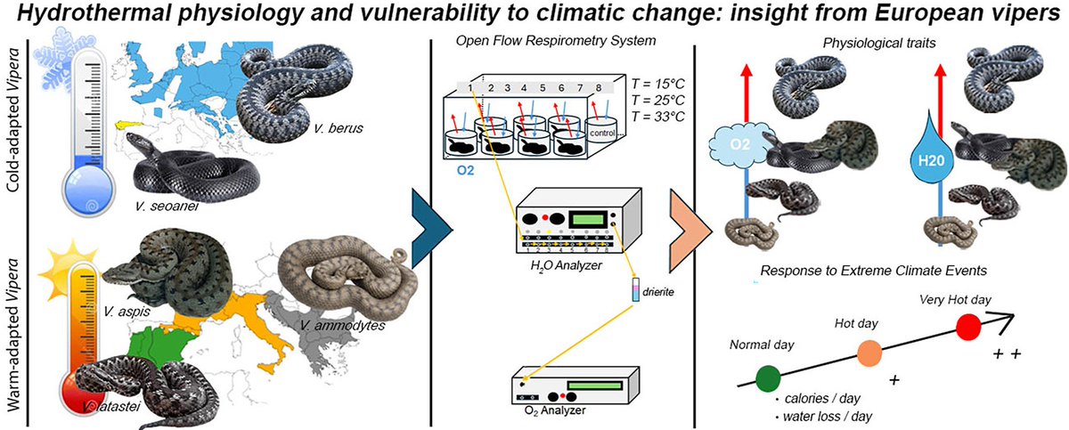 The second article of my PhD is finally out! Go and check it kwnsfk27.r.eu-west-1.awstrack.me/L0/https:%2F%2…