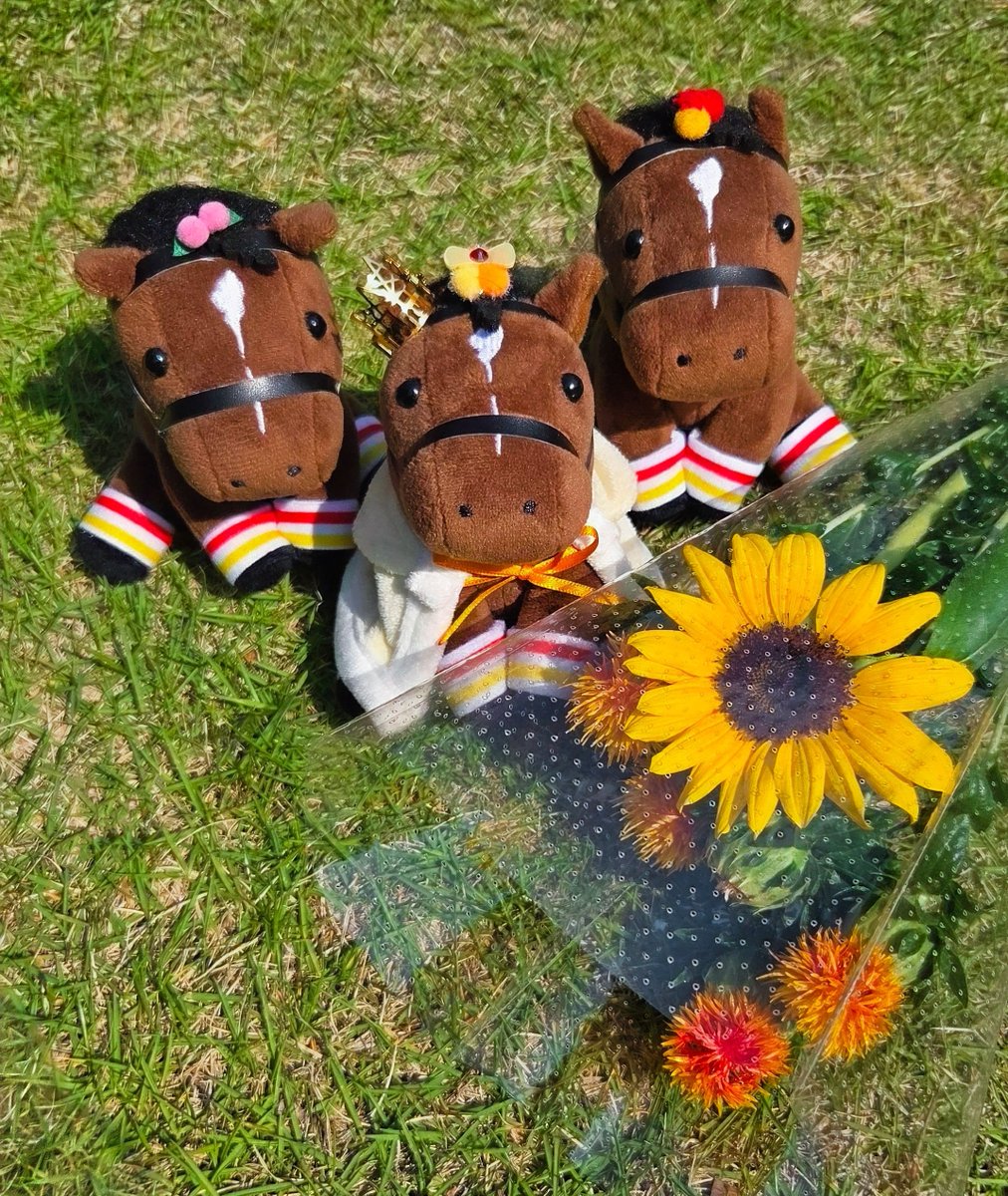 umma66x's tweet image. リバティアイランド、ありがとうございました。
強く美しい勇姿
ずっとずっと忘れません