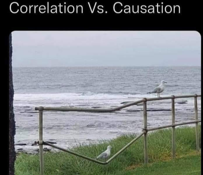 NonDualPath's tweet image. 👏Correlation👏is👏not👏Causation!
#CorrelationNotCausation.