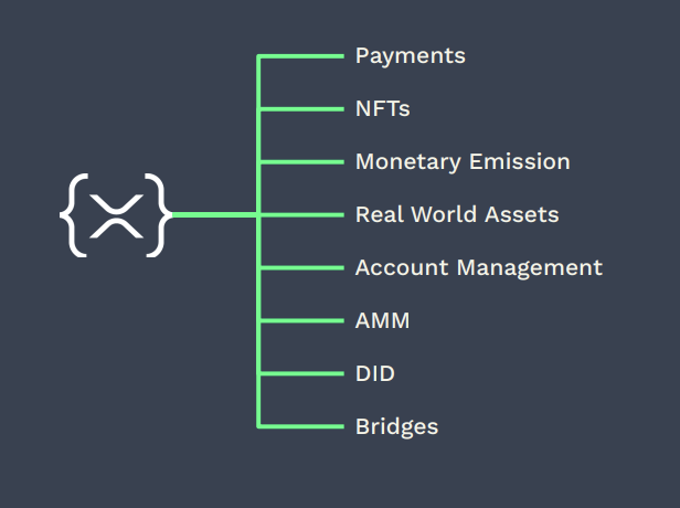 ItscoachFO tweet media