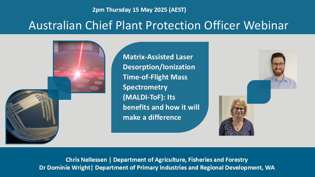 Euphresco network (@euphresco) on Twitter photo 🌱📢Don’t miss this upcoming #webinar with Australia’s Chief Plant Protection Officer🇦🇺! Dr Dominie Wright and Chris Nellessen will explore MALDI-ToF technology: what it is, how it works & the benefits it’s bringing to <a href="/DAFFgov/">Department of Agriculture, Fisheries and Forestry</a>
📅 May 15, 2025
🕑 2:00 PM AEST
#PlantHealth #ACPPO 🌱📢Don’t miss this upcoming #webinar with Australia’s Chief Plant Protection Officer🇦🇺! Dr Dominie Wright and Chris Nellessen will explore MALDI-ToF technology: what it is, how it works & the benefits it’s bringing to <a href="/DAFFgov/">Department of Agriculture, Fisheries and Forestry</a>
📅 May 15, 2025
🕑 2:00 PM AEST
#PlantHealth #ACPPO