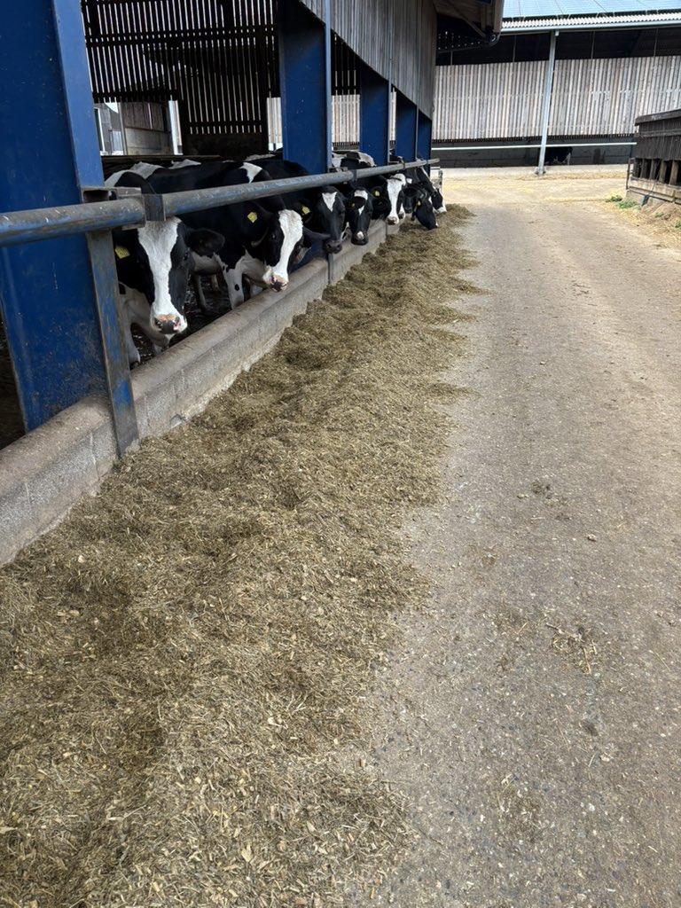 I’m Not at a truck show this weekend 😂😂