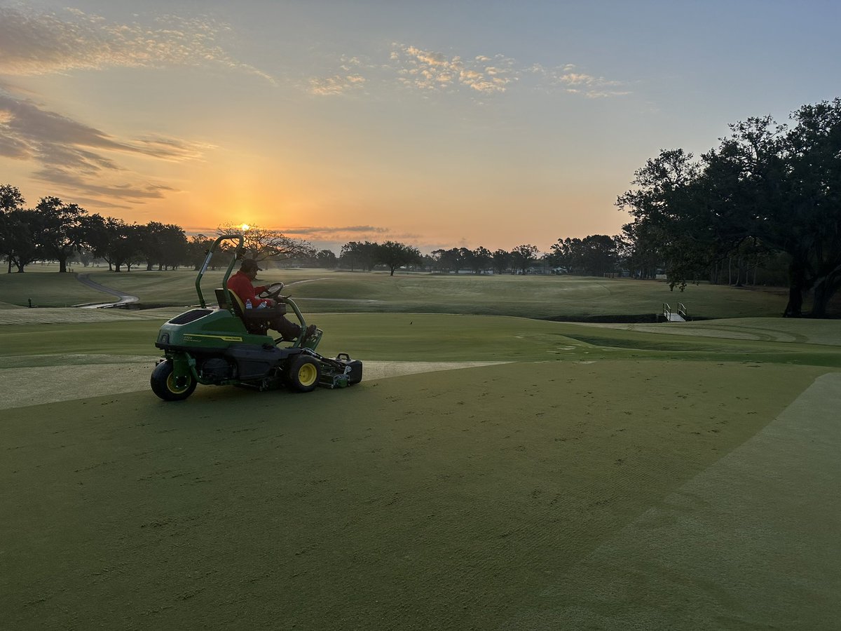 Carlyle Merring tweet media