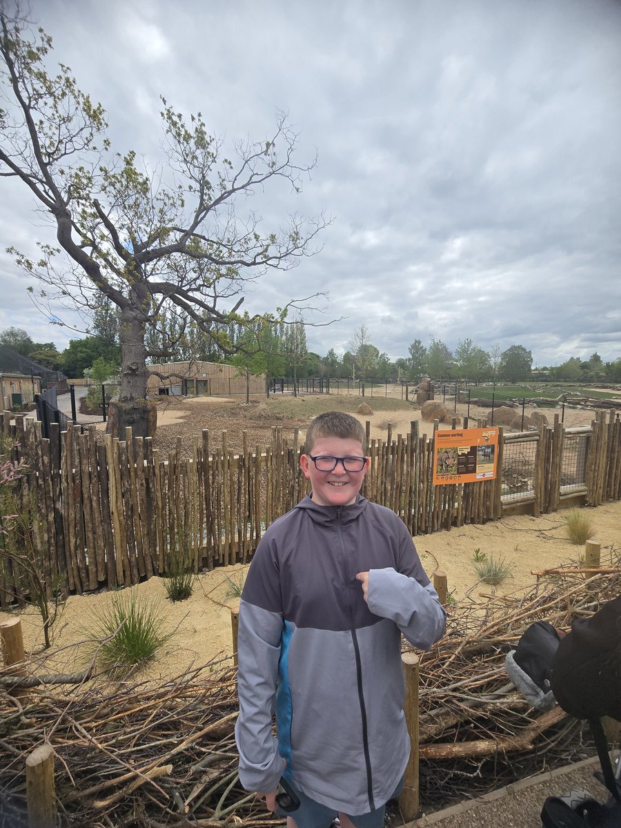 DeniseDickson tweet media