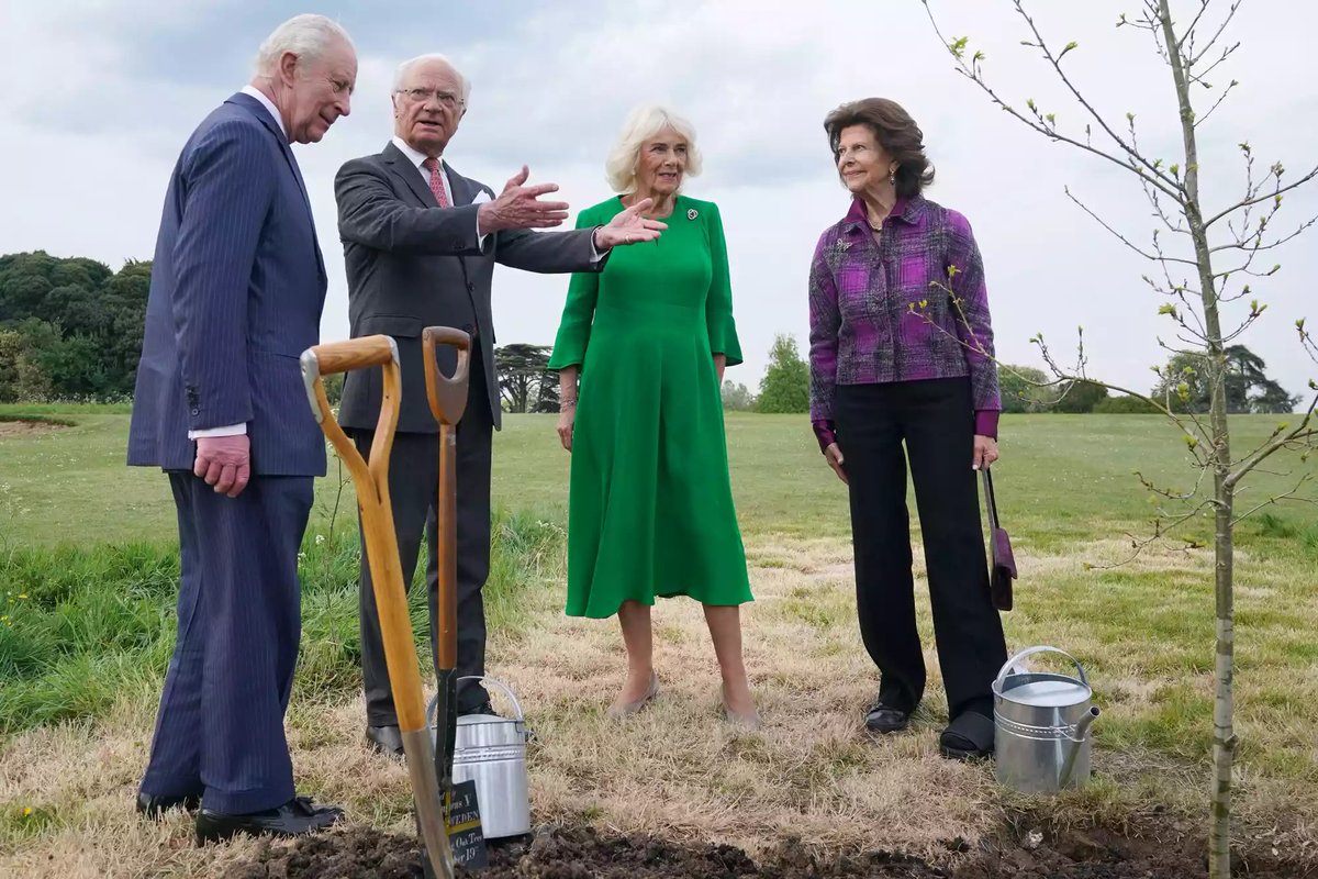 rwthofficial's tweet image. 🇸🇪🇬🇧
#Sweden’s King Carl XVI Gustaf and Queen Silvia met with #UK’s King Charles III and Queen Camilla, and together planted an oak tree that was presented as a #Coronation gift at Home Park of Windsor Castle.

📸 Getty, TT #KungCarlGustaf #Kungahuset #KingCharles