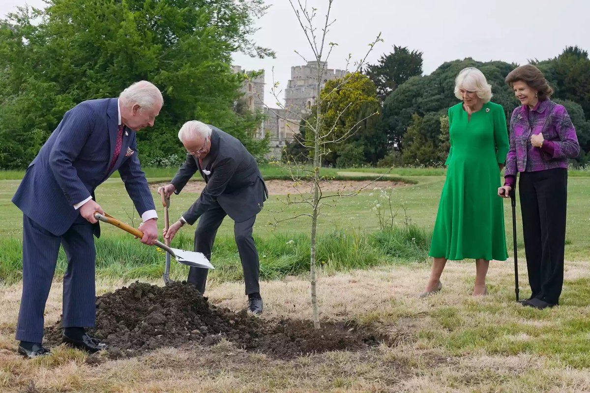 rwthofficial's tweet image. 🇸🇪🇬🇧
#Sweden’s King Carl XVI Gustaf and Queen Silvia met with #UK’s King Charles III and Queen Camilla, and together planted an oak tree that was presented as a #Coronation gift at Home Park of Windsor Castle.

📸 Getty, TT #KungCarlGustaf #Kungahuset #KingCharles
