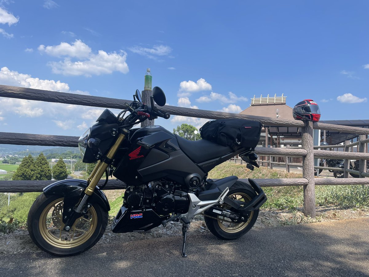 にゃんたろう にゃんたろー (@nyao_tarou) / X