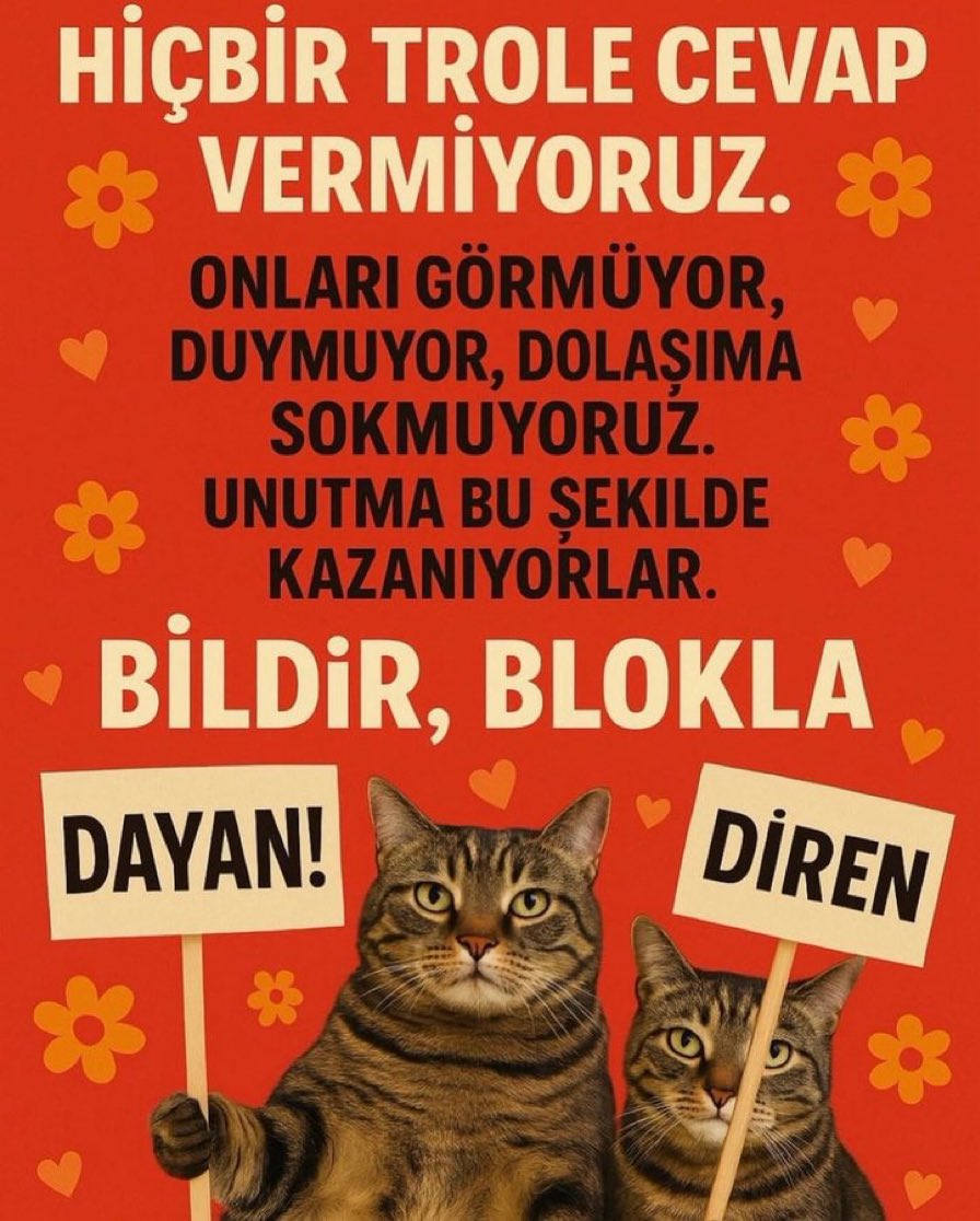 Vegan Kurbağa (@vegankurbaga) on Twitter photo 
