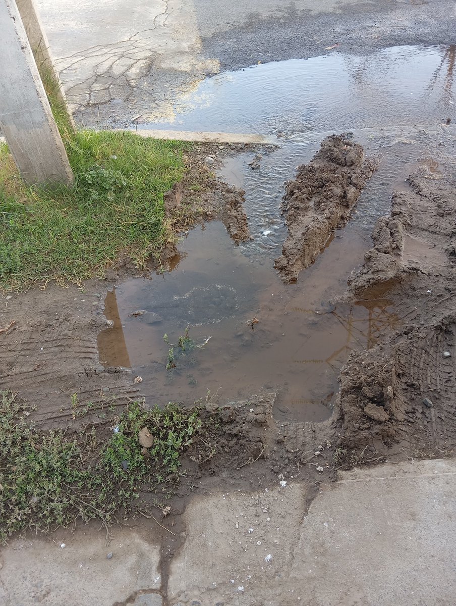 ale0in's tweet photo. Esta fuga lleva 1 semana en Las Torres 138, Quilicura

@aguas_andinas @muniquilicura https://t.co/odbnqcY1NT