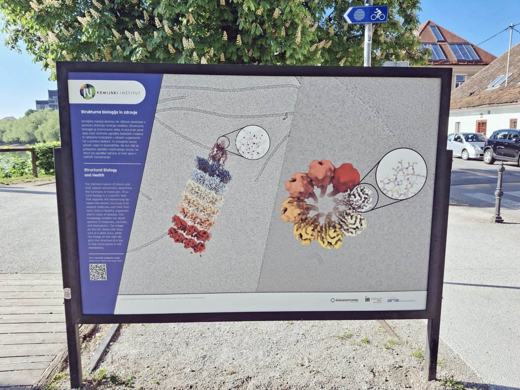 Tudi Odsek za molekularno biologijo in nanobiotehnologijo sodeluje pri tematiki Zdravje. 🙂 🌿🌱🦠Vabljeni k ogledu!