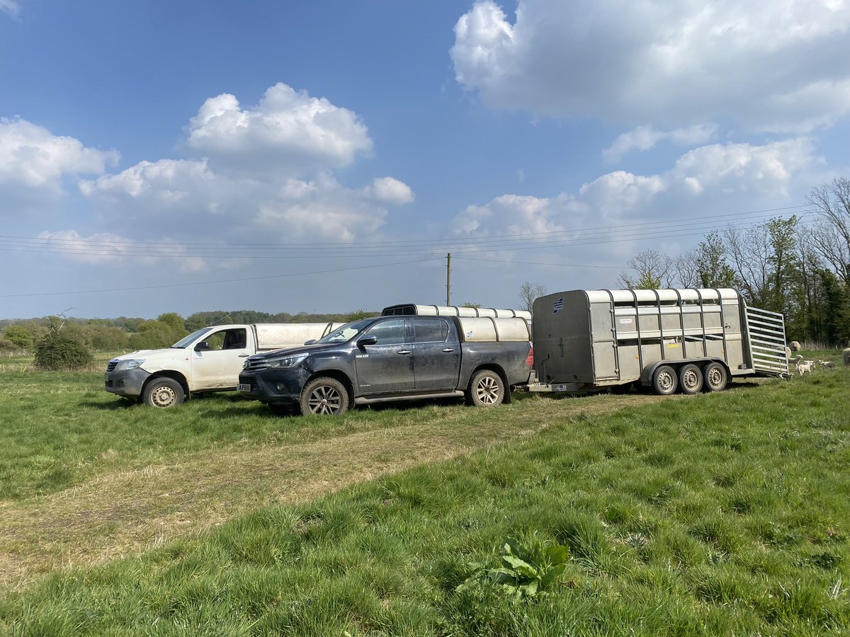 jack_kooreman's tweet photo. Fantastic spring working away from home at Foxburrow Farm. Second year lambing but first year properly getting involved in calving and cattle work. Lots learnt and thanks to those who have put time into teaching me. Roll on next year👌 #lambing #calving https://t.co/85zYXpf4eu