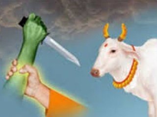SanatanPrabhat's tweet image. Kalyan, Maharashtra: Wasim Junail Abidin Gujjar arrested from illegal slaughterhouse — 2 bulls rescued

These crimes continue because anti-cow slaughter laws aren&apos;t enforced strictly!
How many more are operating in secret?

Time for a crackdown!

#CowProtection #GauMata…