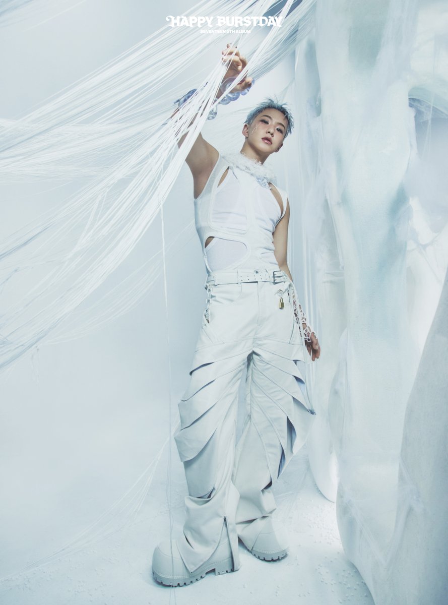 SEVENTEEN (세븐틴) 5th Album '𝐇𝐀𝐏𝐏𝐘 𝐁𝐔𝐑𝐒𝐓𝐃𝐀𝐘' Concept