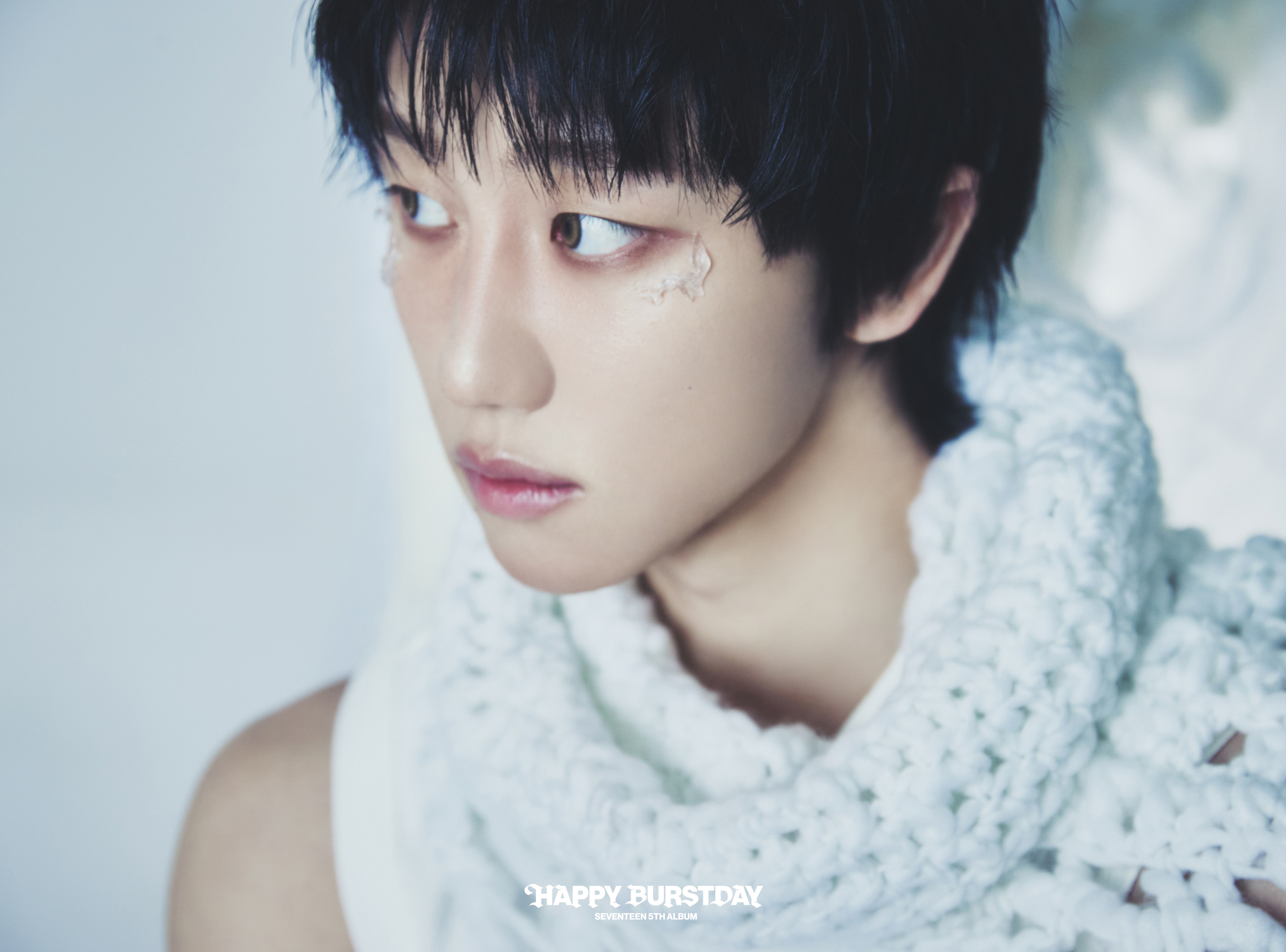 세븐틴(SEVENTEEN) a X: 