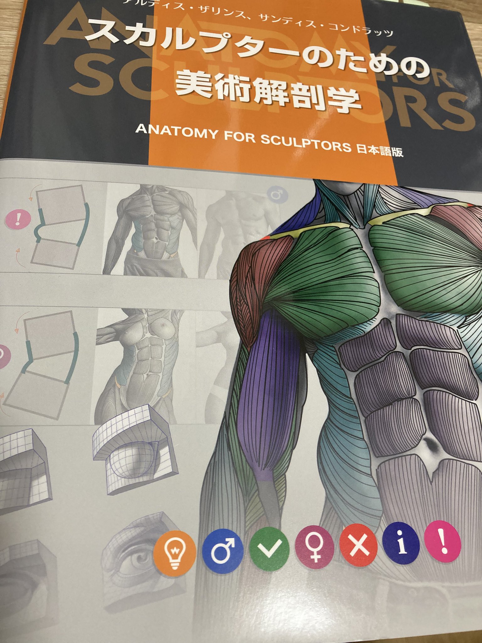 スカルプターのための美術解剖学 -Anatomy For Sculptors日本語