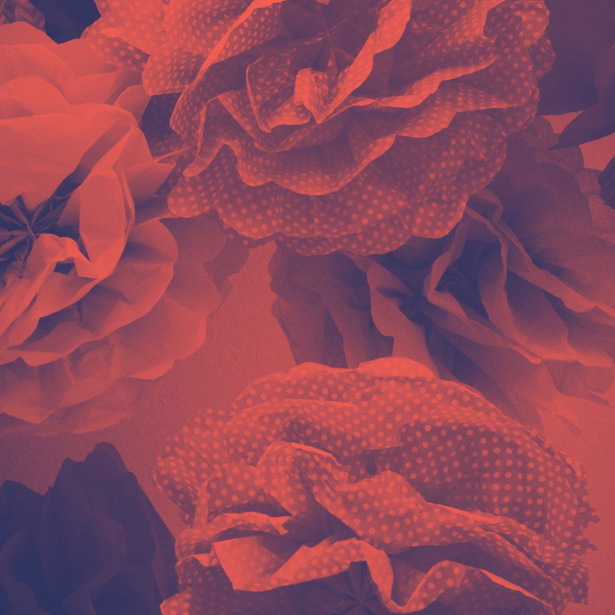 mp3hugger's tweet image. Dreamy folk textures ahoy from Wails.

mp3hugger.com/2025/05/wails-…

#wails #indiefolk