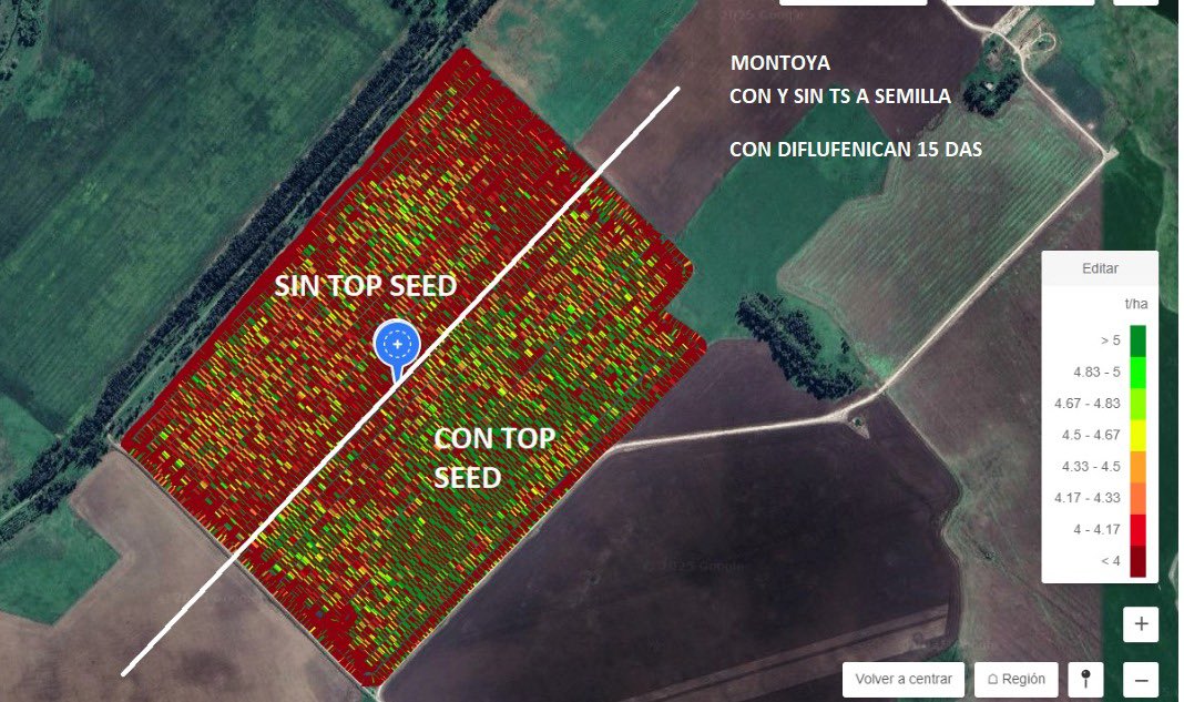 RubiscoAgro's tweet image. Resultados con Top Seed 🟥 reflejados en el mapa de rendimiento. 35 ha con 300cc/100 kg de semilla y 35 ha testigo sin. +660 kg/ha  de rendimiento promedio 🙌🏻.  🏁 Pásate al nro 1 con Top Seed.