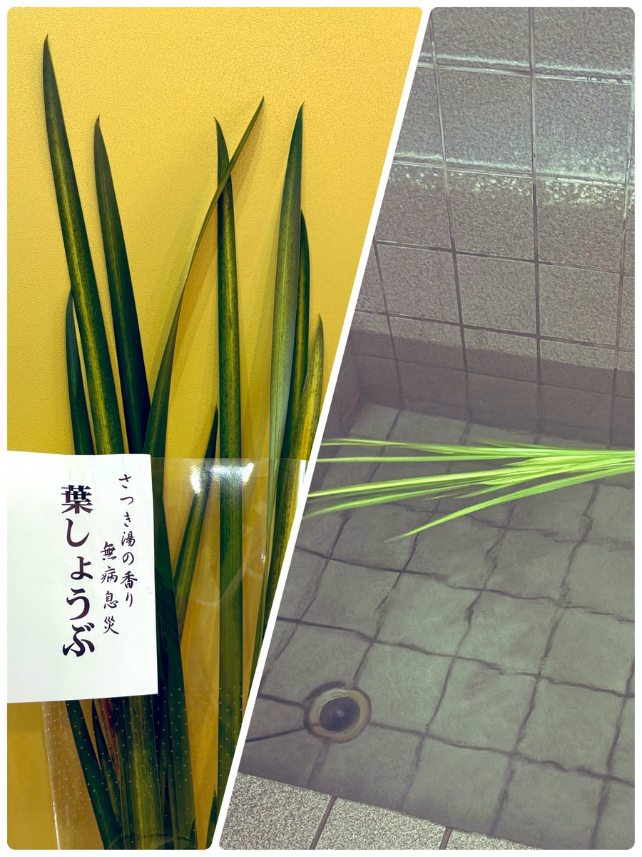 Mu-Chaiのややです🌼  

今日は端午の節句🎏

子供の日やけど、大人にとっても素敵な節句です🤗

菖蒲湯♨️

菖蒲の葉を頭に巻いて入ると賢くなるとか😃🙌😃🙌😃🙌

というわけで菖蒲湯に浸かりながら
頭に菖蒲の葉を巻いて入ってきましたー
うちの頭よ‼️賢くなーれ‼️#切実 😂
ポカポカ☺️♨️