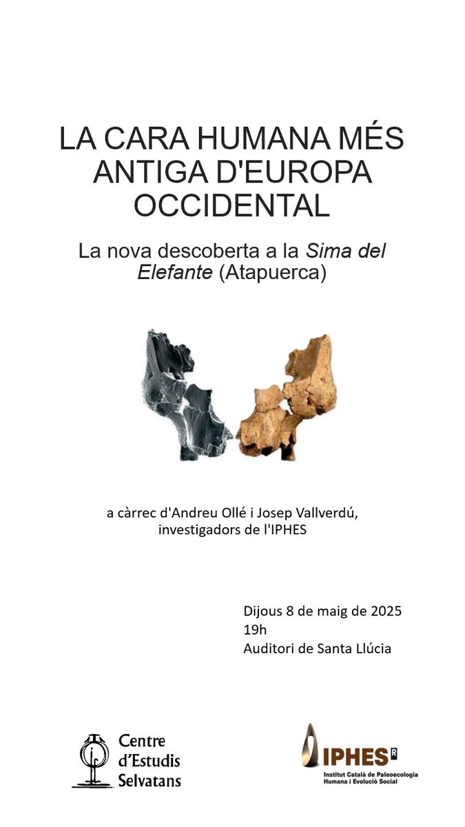 CES (@ceselvatans) on Twitter photo 🗓️ Dijous 8 de maig, 19 h
📍 Auditori de Santa Llúcia (La Selva del Camp)
🧬 Xerrada amb Andreu Ollé i Josep Vallverdú (<a href="/iphes/">IPHES-CERCA</a> )
"La cara humana més antiga d’Europa occidental. La nova descoberta a la Sima del Elefante (Atapuerca)"
Us hi esperem! 🗓️ Dijous 8 de maig, 19 h
📍 Auditori de Santa Llúcia (La Selva del Camp)
🧬 Xerrada amb Andreu Ollé i Josep Vallverdú (<a href="/iphes/">IPHES-CERCA</a> )
"La cara humana més antiga d’Europa occidental. La nova descoberta a la Sima del Elefante (Atapuerca)"
Us hi esperem!