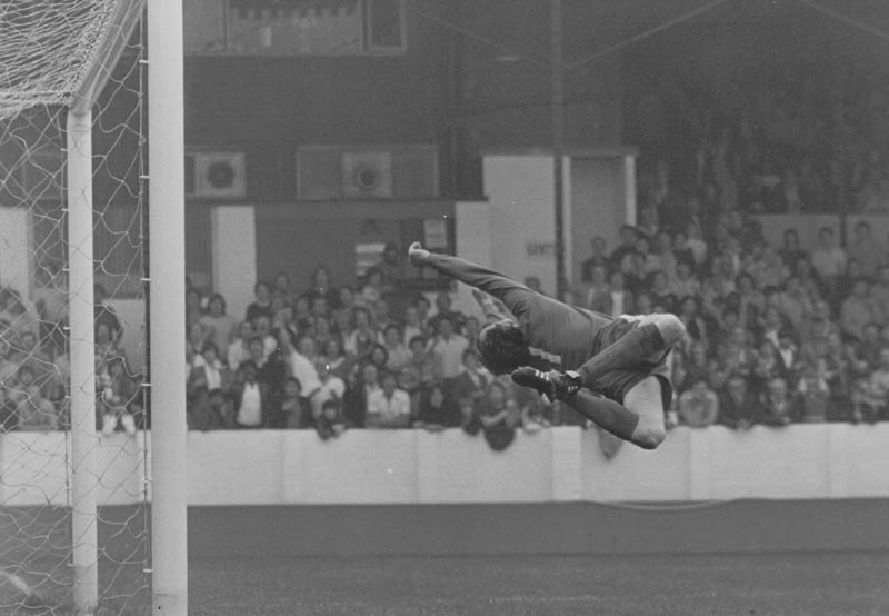 johndewhirst tweet media