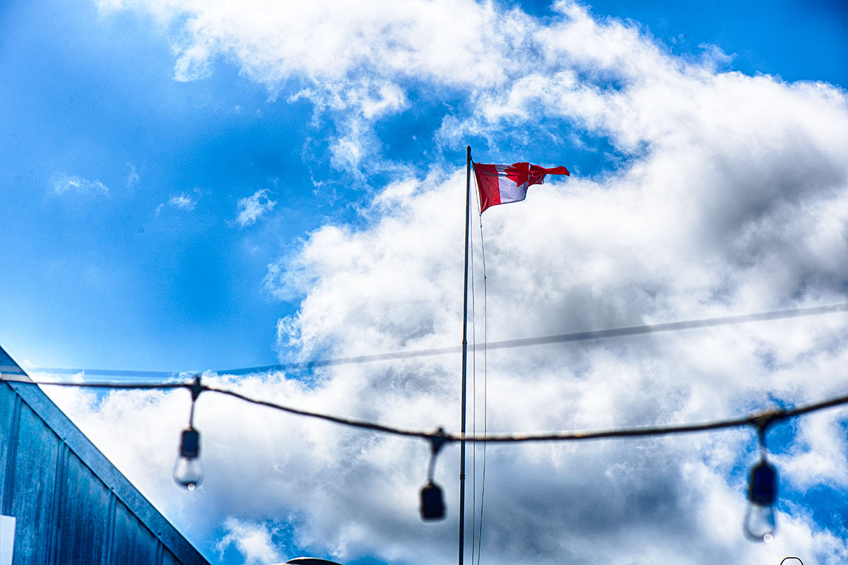 🇨🇦 True North Strong and Free 🇨🇦 #canada #elbowsup #madeincanada #buycanadian #flagaday