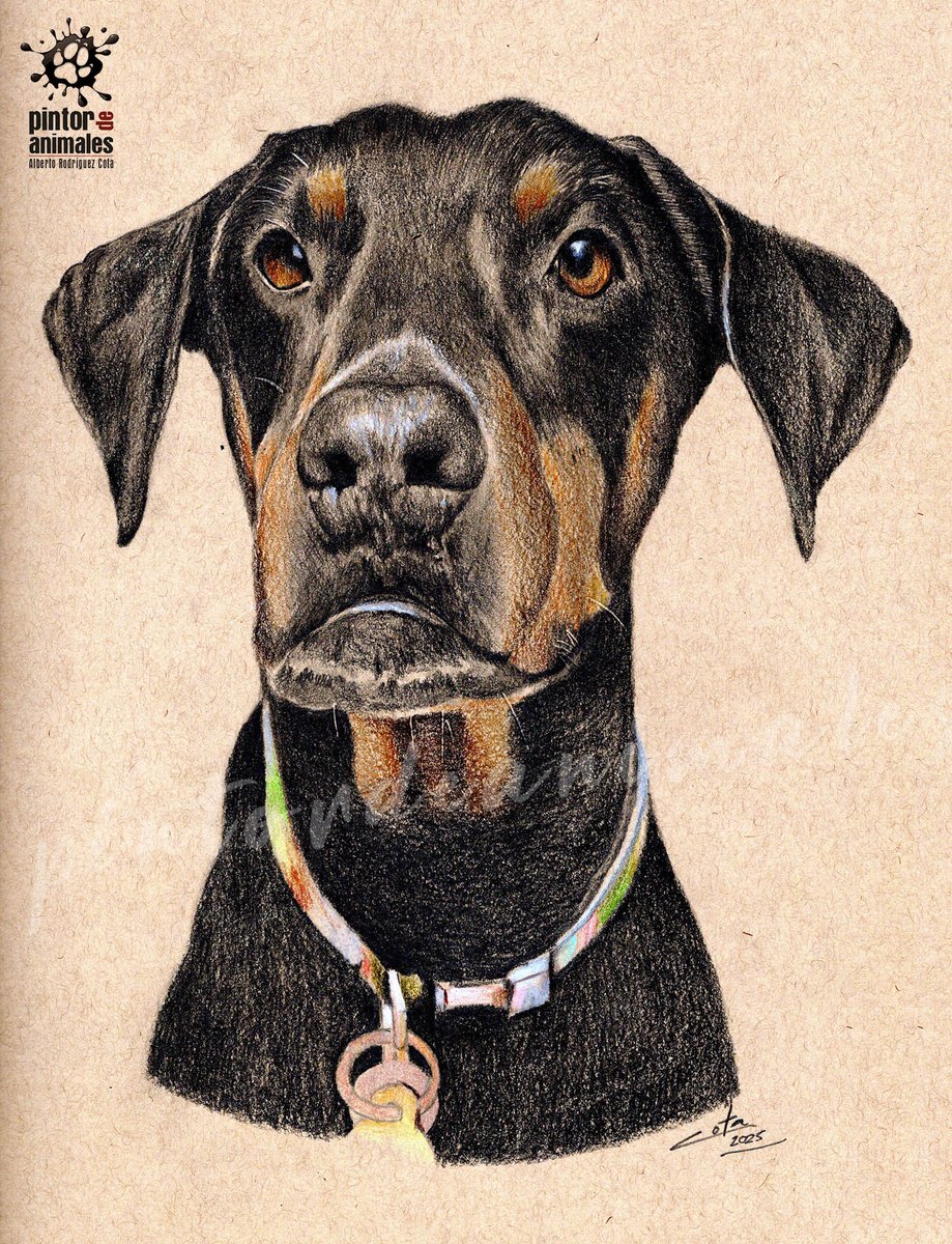 Encarguito express de una bonita Dobermann para hacer durante el fin de semana. Que gusto da emplear los días de descanso para seguir currando en lo que te gusta!!!