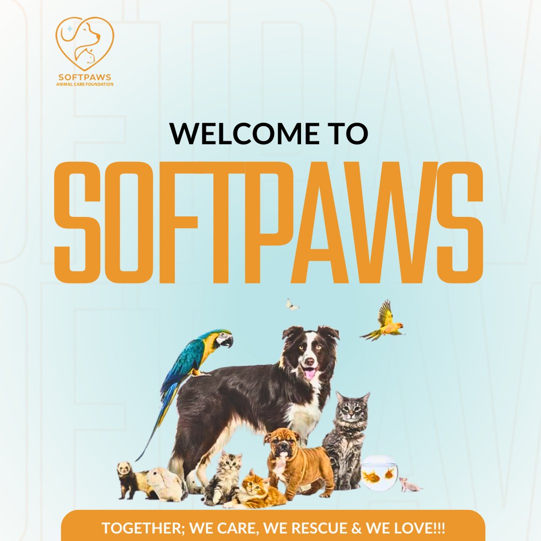 Happy Monday, Pawsome Family🧡

Welcome to Softpaws; where compassion meets action, where tails wag with joy, and where every paw matters....

#welcome #CARE #compassion #purpose #everypawmatters #softpaws #paws #hope #petrescue #animalloversunite #MondayMotivation