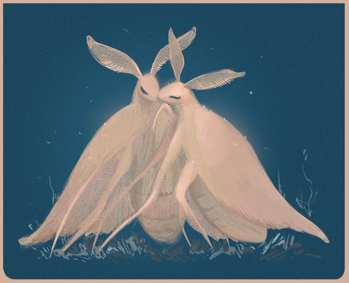 Lapikili1's tweet image. ๐๐ฎ๐ญ๐ข๐ ๐ฉ๐๐ญ๐จ๐จ๐ญ๐ข๐๐ฌ~
#Rainworld
#RW