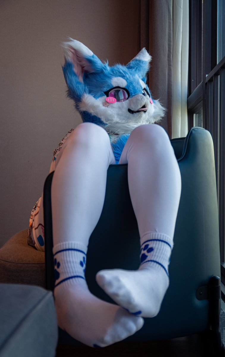 五一快乐！！
五一…呜呜呜噫过完了！
心事狐狐在想另一只狐狐