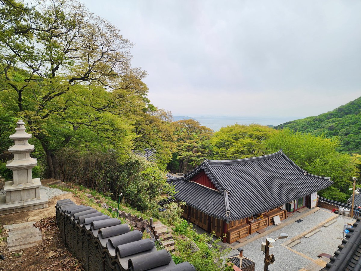 minjun777777's tweet image. 