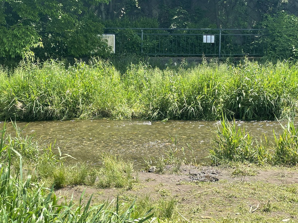 川ーっ❤︎*. ゜
みんなゎどんなGWお過ごしですか？